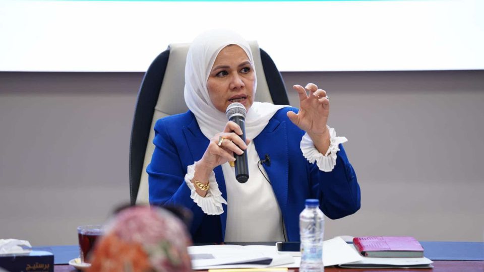 رشا عبدالعال، رئيس مصلحة الضرائب المصرية